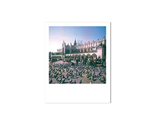 Postal Polaroid: palomas, flores, cuadros principales de Cracovia, sueños, cuentos, recuerdos, hecho a mano, fotografía vintage – Galeria LueLue